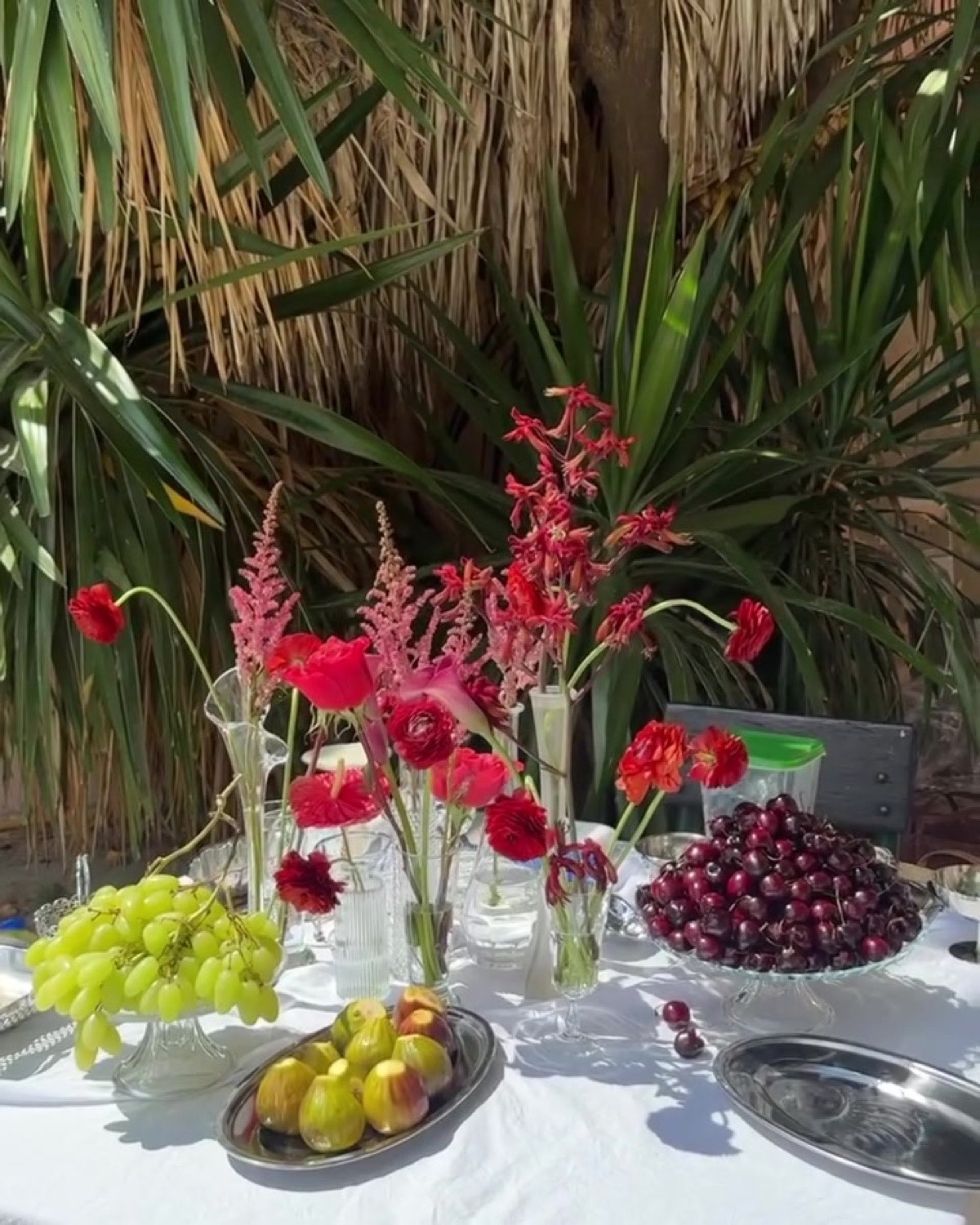Garden wine tasting at Tapada das Necessidades